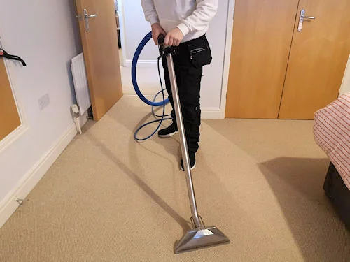 carpet extraction service