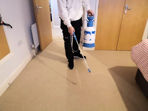 carpet spray services