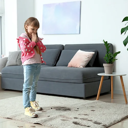 professional carpet cleaning Swindon